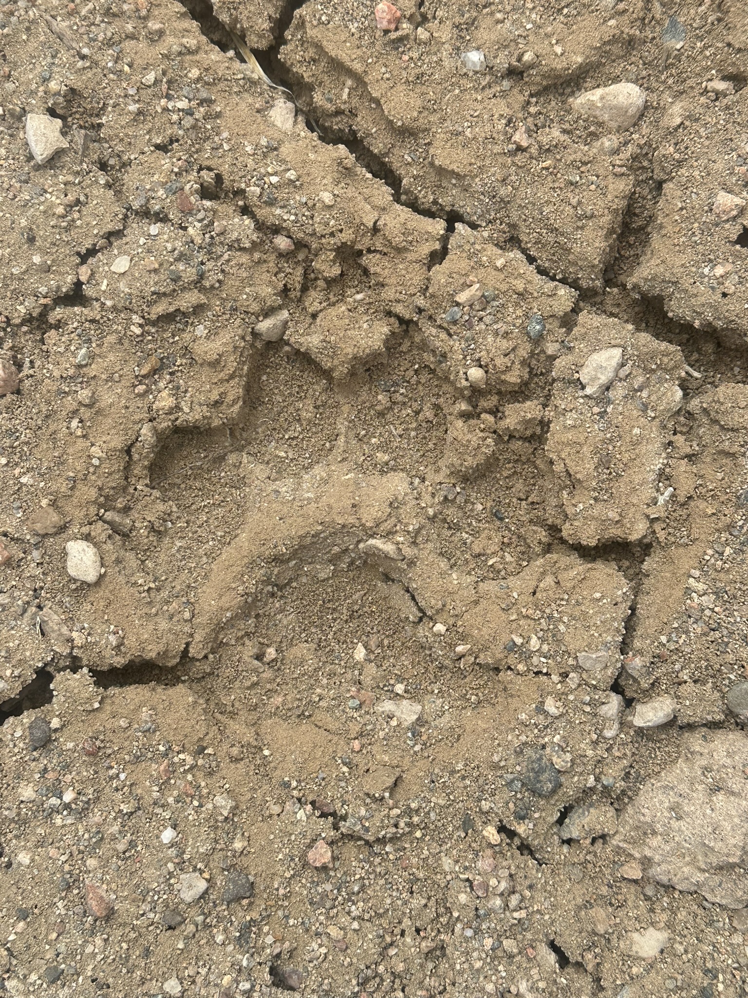 United States-National Parks-Other - Image 2746